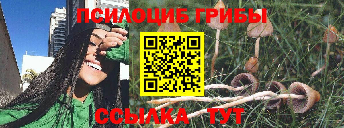 Солнечногорск  Галлюциногенные грибы прущие грибы  Вход с VPN 