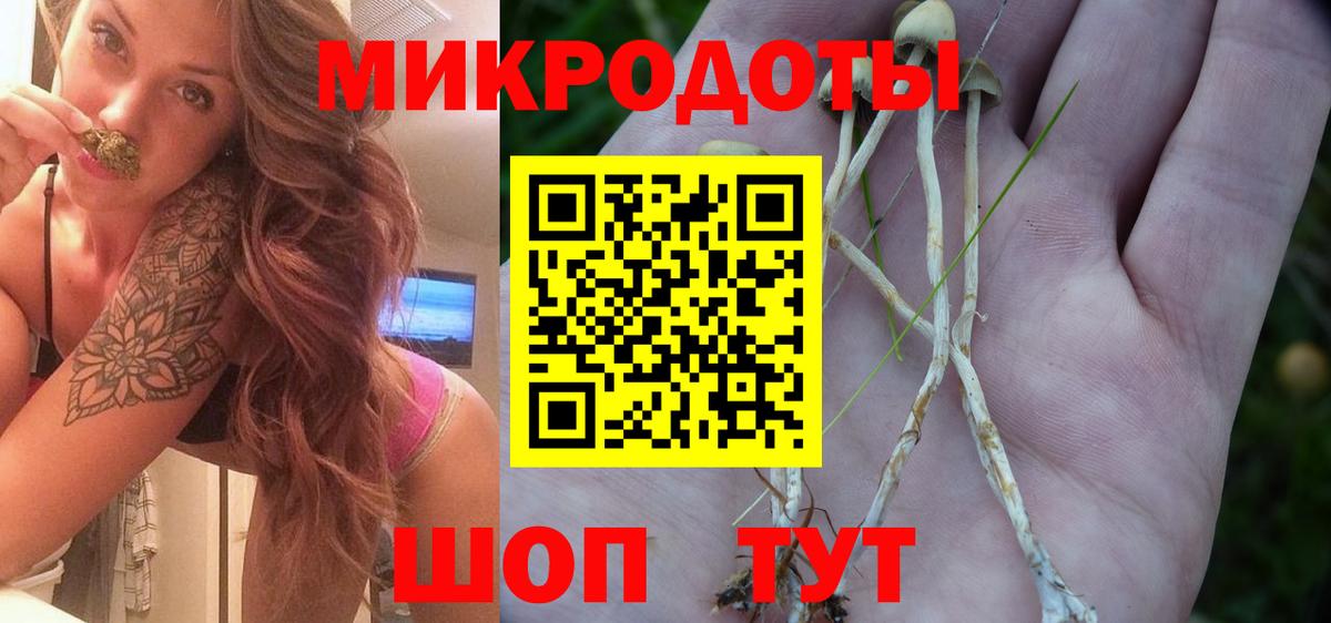Галлюциногенные грибы мухоморы Солнечногорск